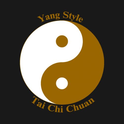 Intro to Yang Beginner Form